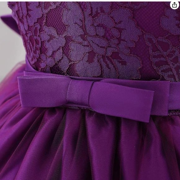 NWOT Dressy Daisy Baby Girl Dress Embroidered - Picture 8 of 8